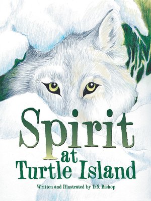 cover image of Spirit at Turtle Island